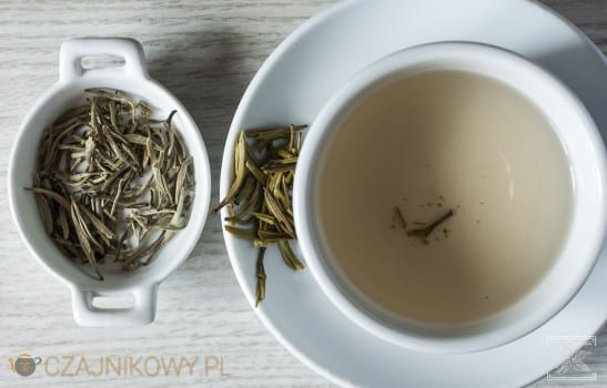 Herbata biała Yin Zhen parzona na zimno i klasycznie, zaparzona