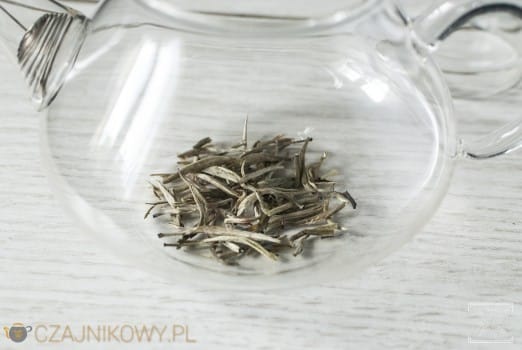 Herbata biała Yin Zhen parzona na zimno i klasycznie, parzenie