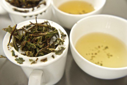 Wstęp do parzenia herbaty: cuptasting herbaty białej Pai Mu Tan