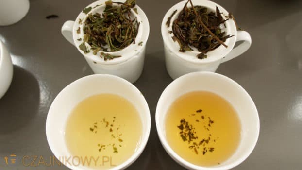 Herbata biała Pai Mu Tan, porównanie dwóch