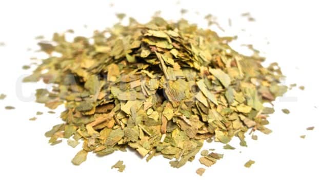 Herbata ziołowa Miłorząb Japoński Ginko Biloba